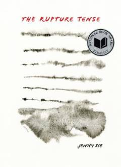 The rupture tense : poems