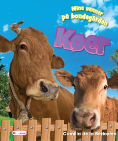 Køer