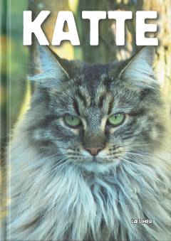 Katte