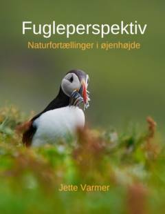 Fugleperspektiv : naturfortællinger i øjenhøjde