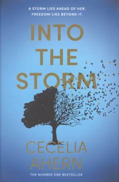 Into the storm