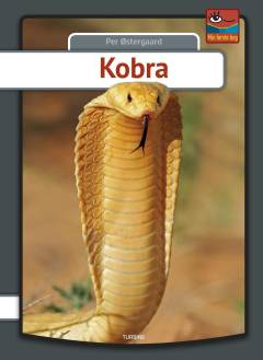 Kobra