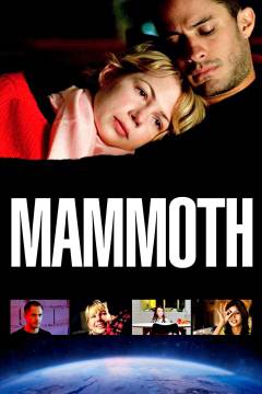 Film (dvd), 2009