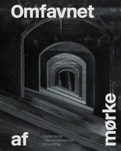 Omfavnet af mørke : Cisternerne - fra vandreservoir til kunsthal