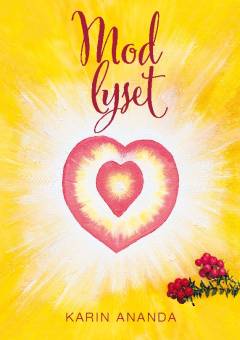 Mod lyset : en udviklingsvej