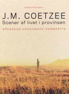 Scener af livet i provinsen : Drengeår, Ungdomsår, Sommertid