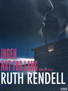 Ingen nat for lang : psykologisk thriller