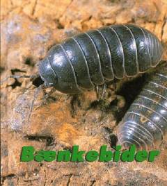 Bænkebider