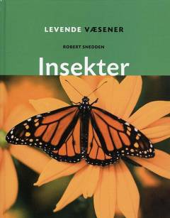 Insekter