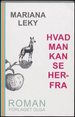 Hvad man kan se herfra. Bind 2 (Stor skrift)