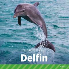 Delfin