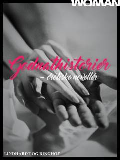 Godnathistorier : erotiske noveller. 2