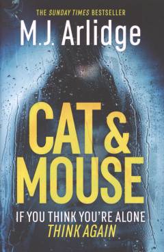 Cat & mouse