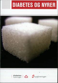 Diabetes og nyrer