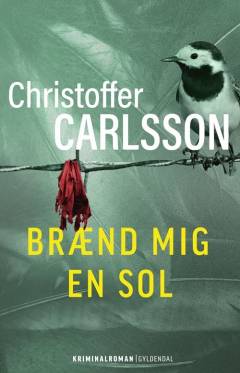 Brænd mig en sol : roman om en forbrydelse
