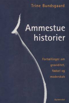 Ammestuehistorier : fortællinger om graviditet, fødsel og moderskab