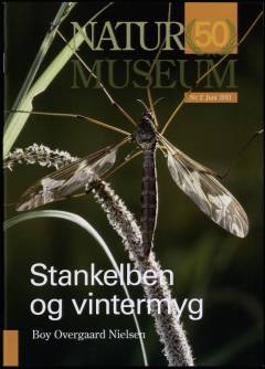 Stankelben og vintermyg