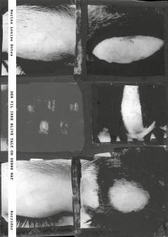 Der vil ikke blive talt om denne nat : collageroman