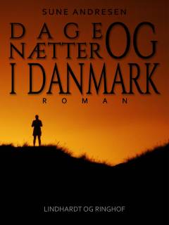 Dage og nætter i Danmark : historisk-poetiske essays