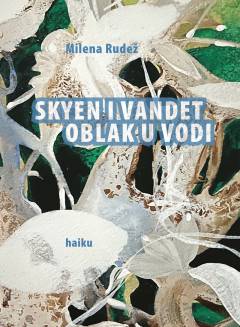 Skyen i vandet : haiku