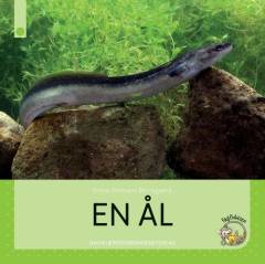 En ål