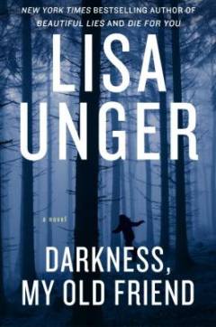 Darkness, my old friend : a novel