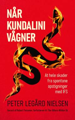Når kundalini vågner : at hele skader fra spontane opstigninger med IFS