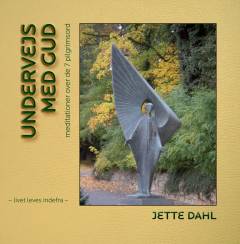 Undervejs med gud : meditationer over de 7 pilgrimsord