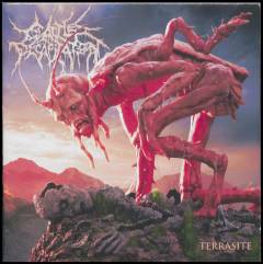 Terrasite