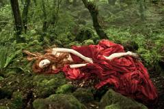 Tale of tales