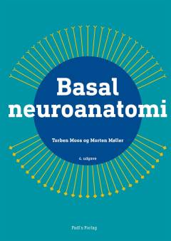Basal neuroanatomi