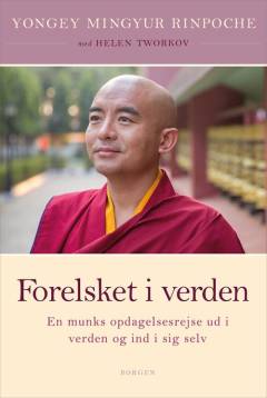 Forelsket i verden : en munks rejse ud i verden og ind i sig selv