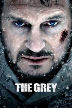 Film (dvd), 2012