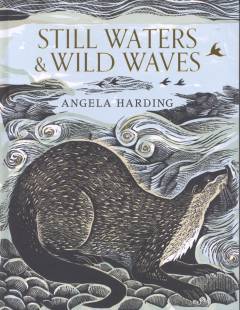 Still waters & wild waves : a printmaker's journey