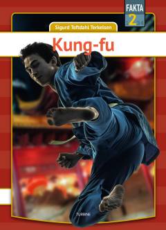 Kung-fu
