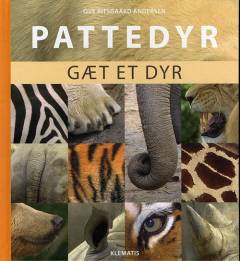 Pattedyr