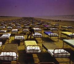 A momentary lapse of reason