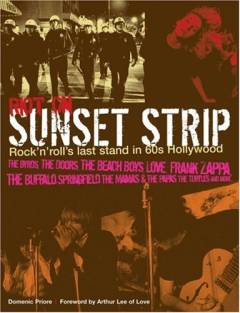 Riot on Sunset Strip : rock'n'roll's last stand in Hollywood