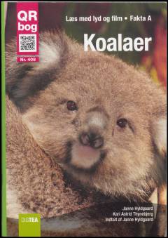 Koalaer