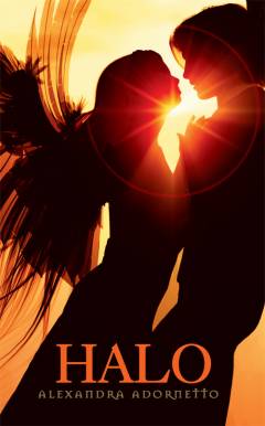 Bog, 1. udgave, 2011