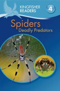 Spiders