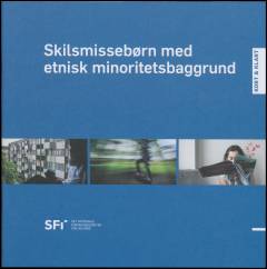 Skilsmissebørn med etnisk minoritetsbaggrund