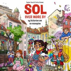 Sol over indre by - og historien om en mavepine