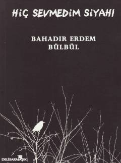Hiç sevmedim siyahı