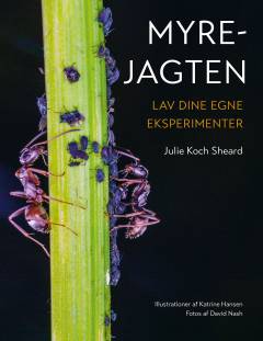 Myrejagten : lav dine egne eksperimenter
