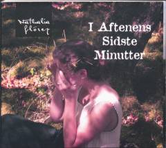 I aftenens sidste minutter