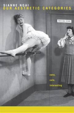 Our aesthetic categories : zany, cute, interesting