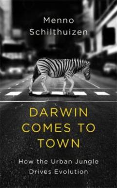 Darwin comes to town : how the urban jungle drives evolution