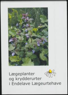 Lægeplanter og krydderurter i Endelave lægeurtehave