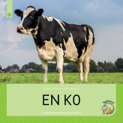 En ko